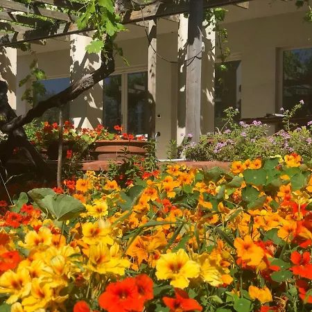 Casa Viola, Splendido Sul Mare 公寓 Porto Columbu - Perd'E Sali