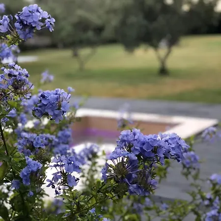 Casa Viola, Splendido Sul Mare 公寓